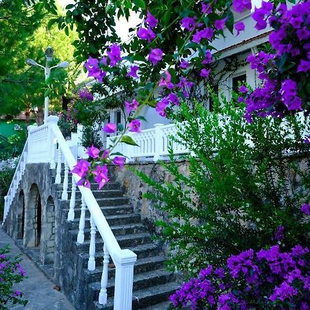Larissa Hill Beach Hotel Konaklı Zewnętrze zdjęcie